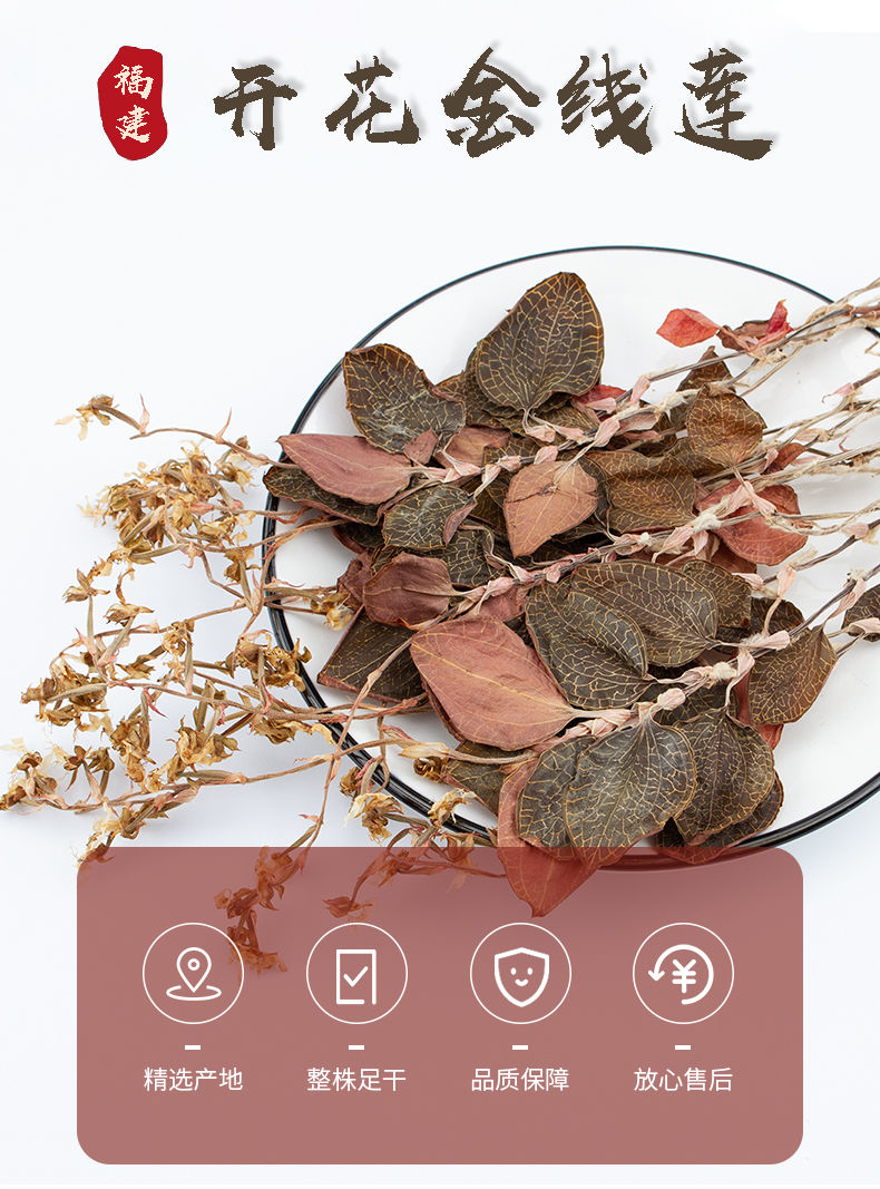 開花<a href=/ target='_blank'>金線蓮</a>幹品