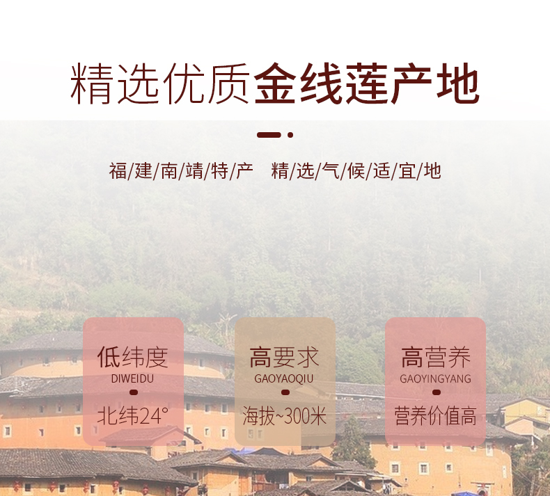 正宗林下<a href=/ target='_blank'>金線蓮</a>幹品