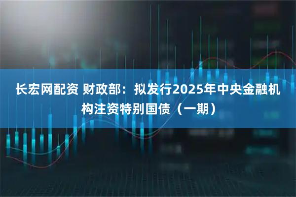 长宏网配资 财政部：拟发行2025年中央金融机构注资特别国债（一期）
