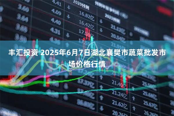 丰汇投资 2025年6月7日湖北襄樊市蔬菜批发市场价格行情