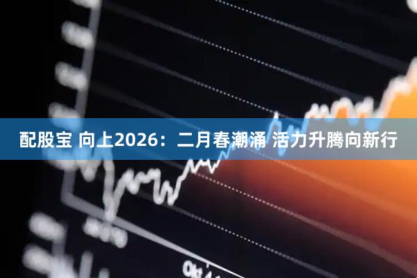 配股宝 向上2026：二月春潮涌 活力升腾向新行